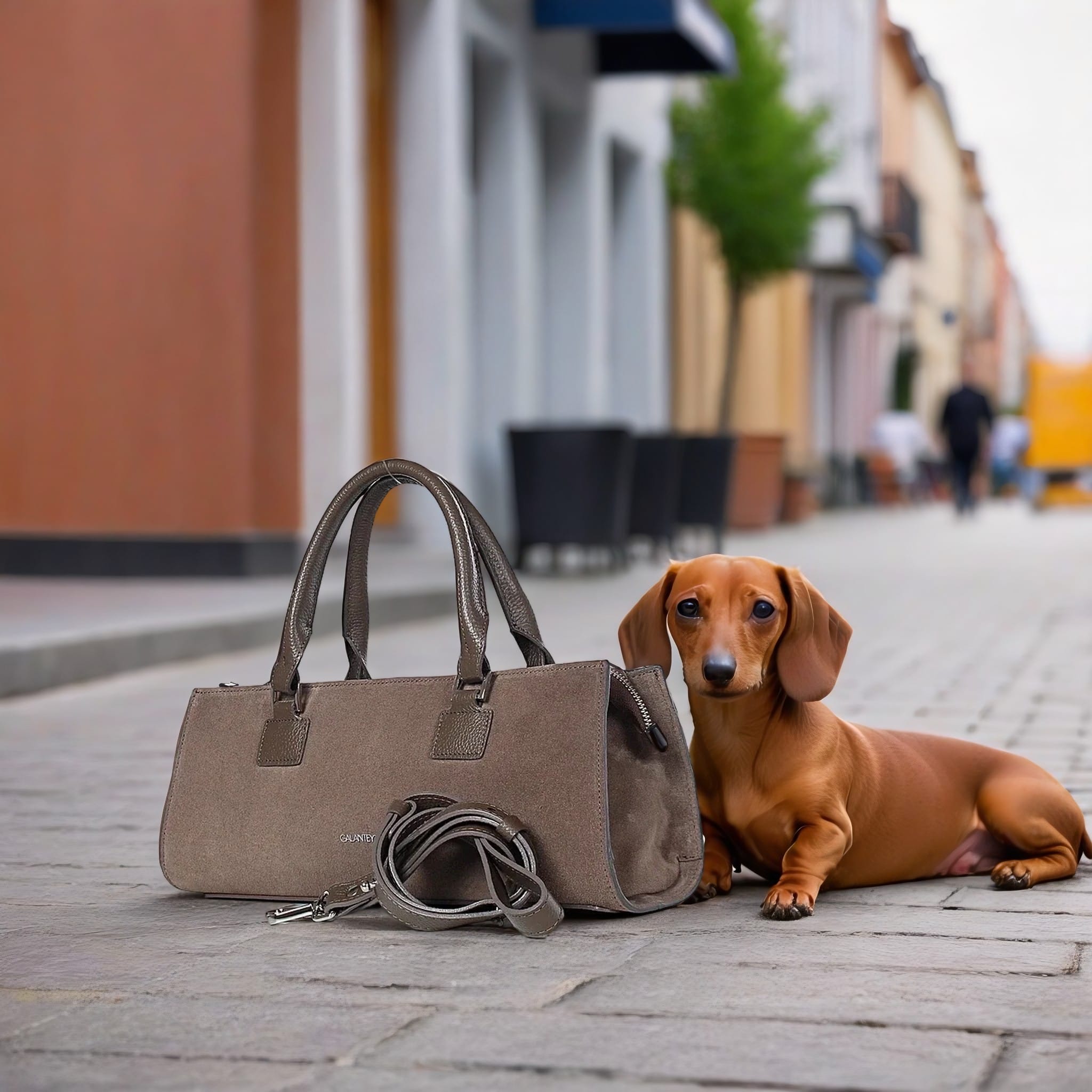 Сумка-такса