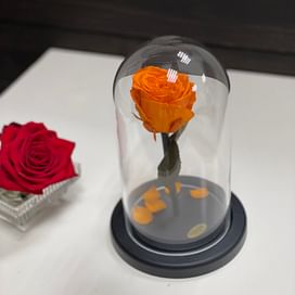 Роза в стеклянной колбе Mini