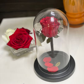 Роза в стеклянной колбе (красная) Mini