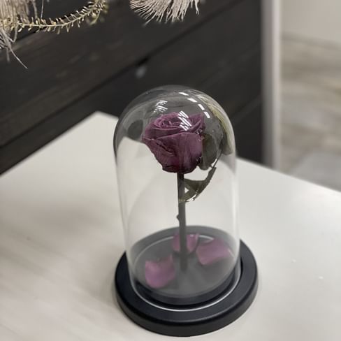 Роза в стеклянной колбе (фиолетовая) Mini