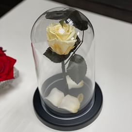 Роза в стеклянной колбе (белая) Mini