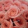 Букет из роз "Пионовидный" 25 роз
