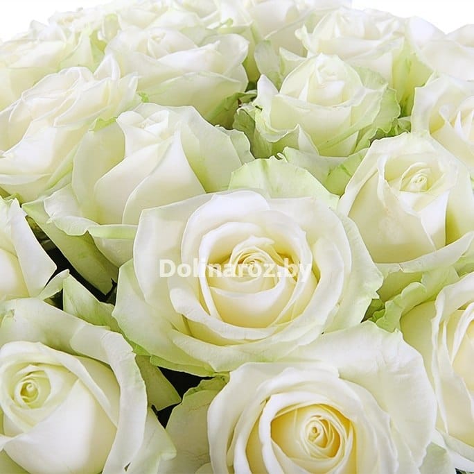 Букет роз "Отличный День" 31 роза