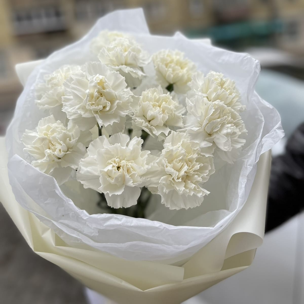 Букет гвоздик "Глазурь" 11 шт.