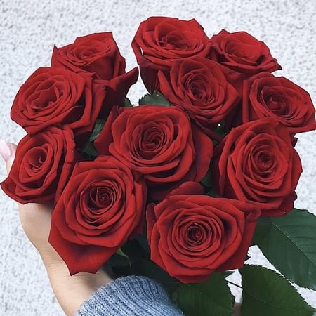 Букет роз "Бордо" 11 роз
