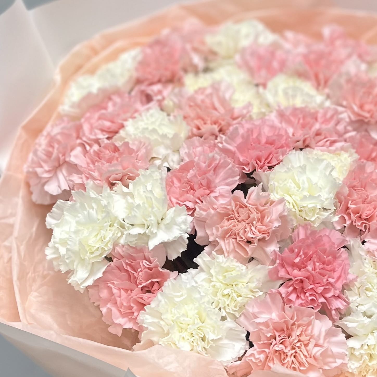 Букет гвоздик "Великолепие" 51 шт.