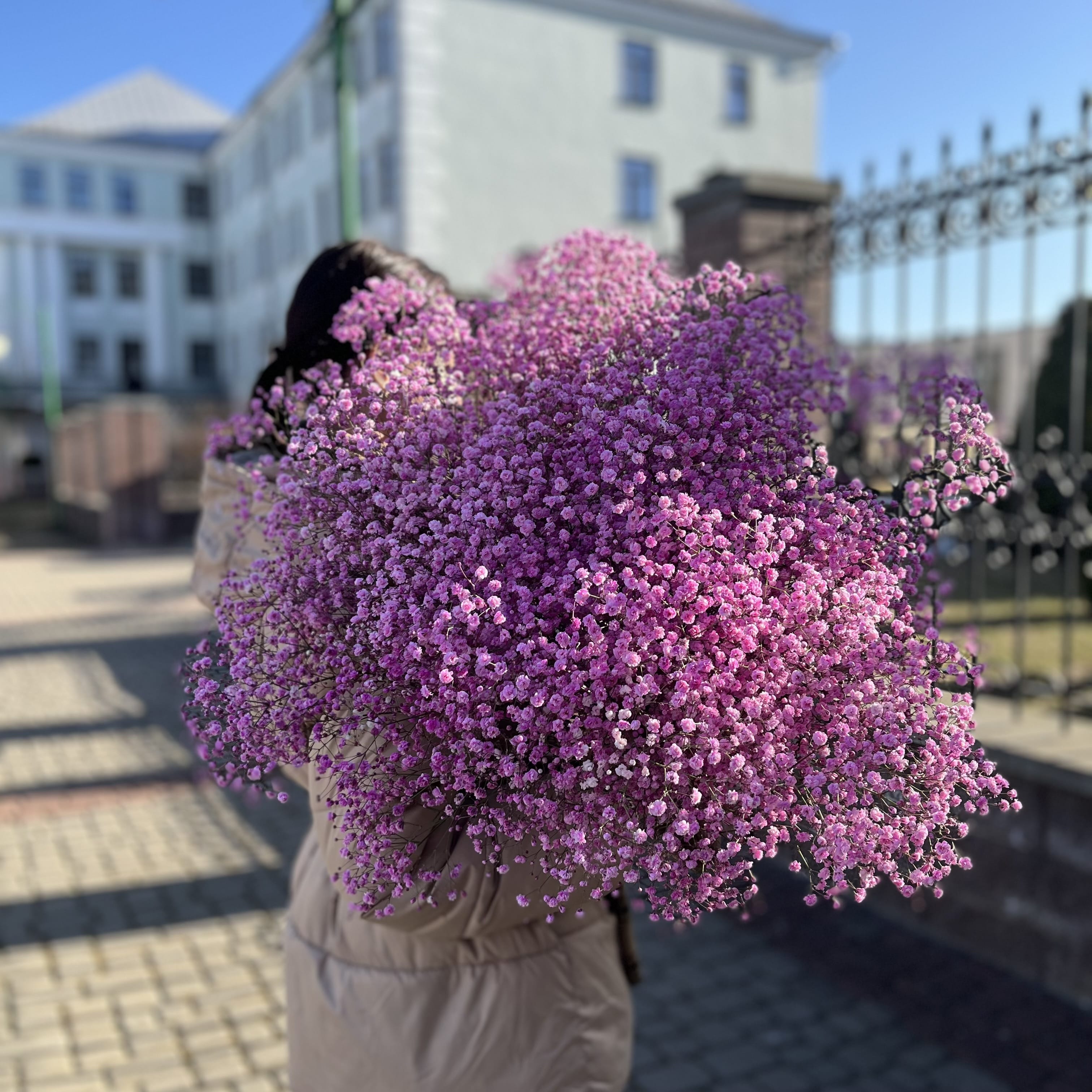 Букет из гипсофилы "Крошка" 25 шт.