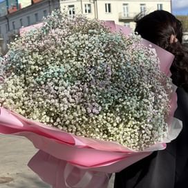 Букет из гипсофилы " Фантазия" 31 шт.