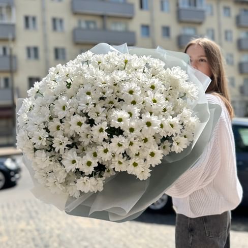 Букет из хризантем "Радость весны" (41 шт)