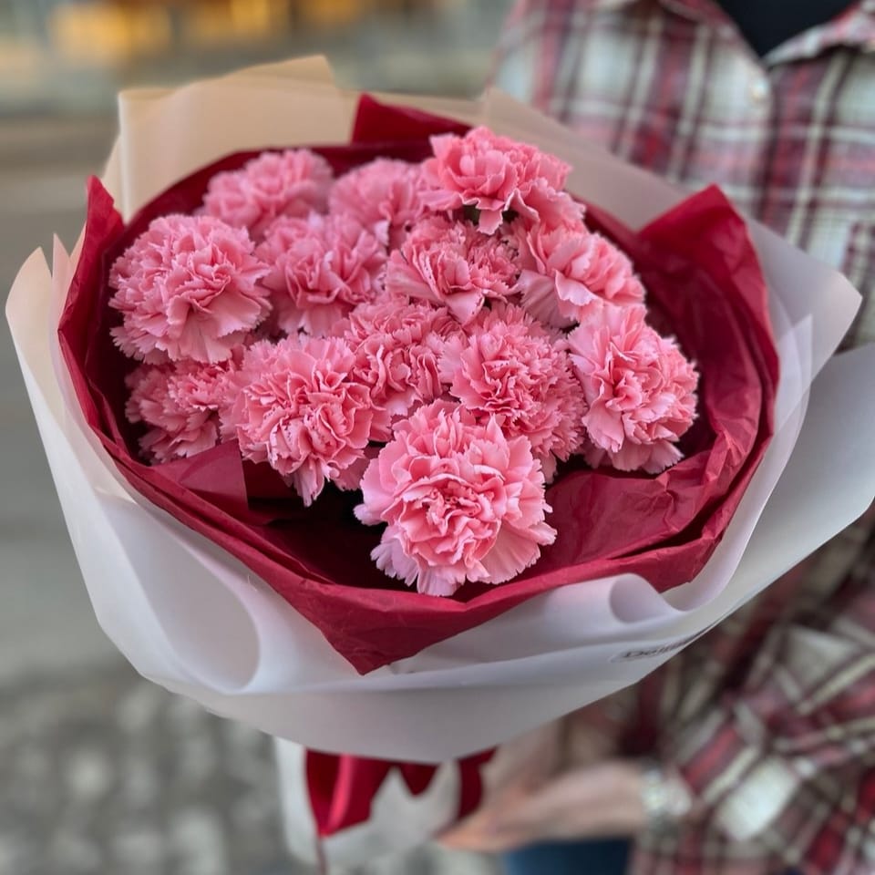 Букет гвоздик "Стиль" 13 шт.