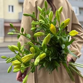 Букет из лилий "Солнце" (11 шт)