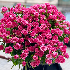 Букет роз "Тайфун" Кустовые розы