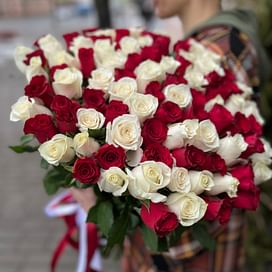 Букет роз "Красно-белый микс" 101 роза