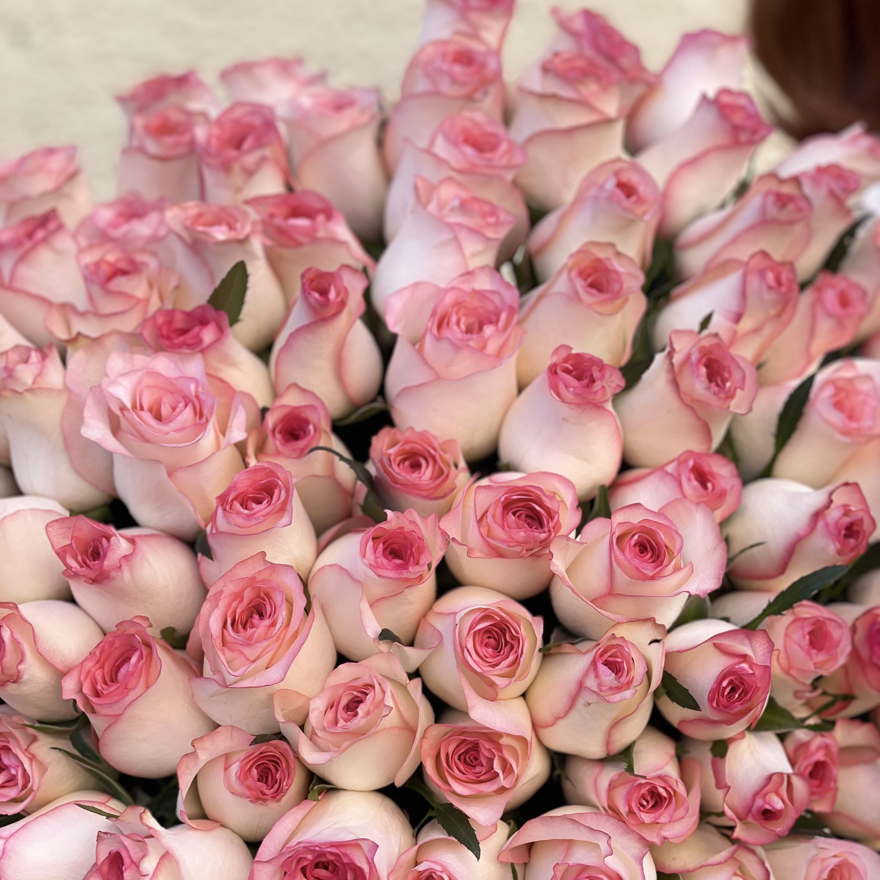 Букет роз "Ты со мной" 101 роза