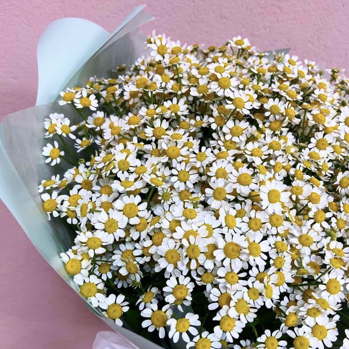 Букет ромашек "Эридан"