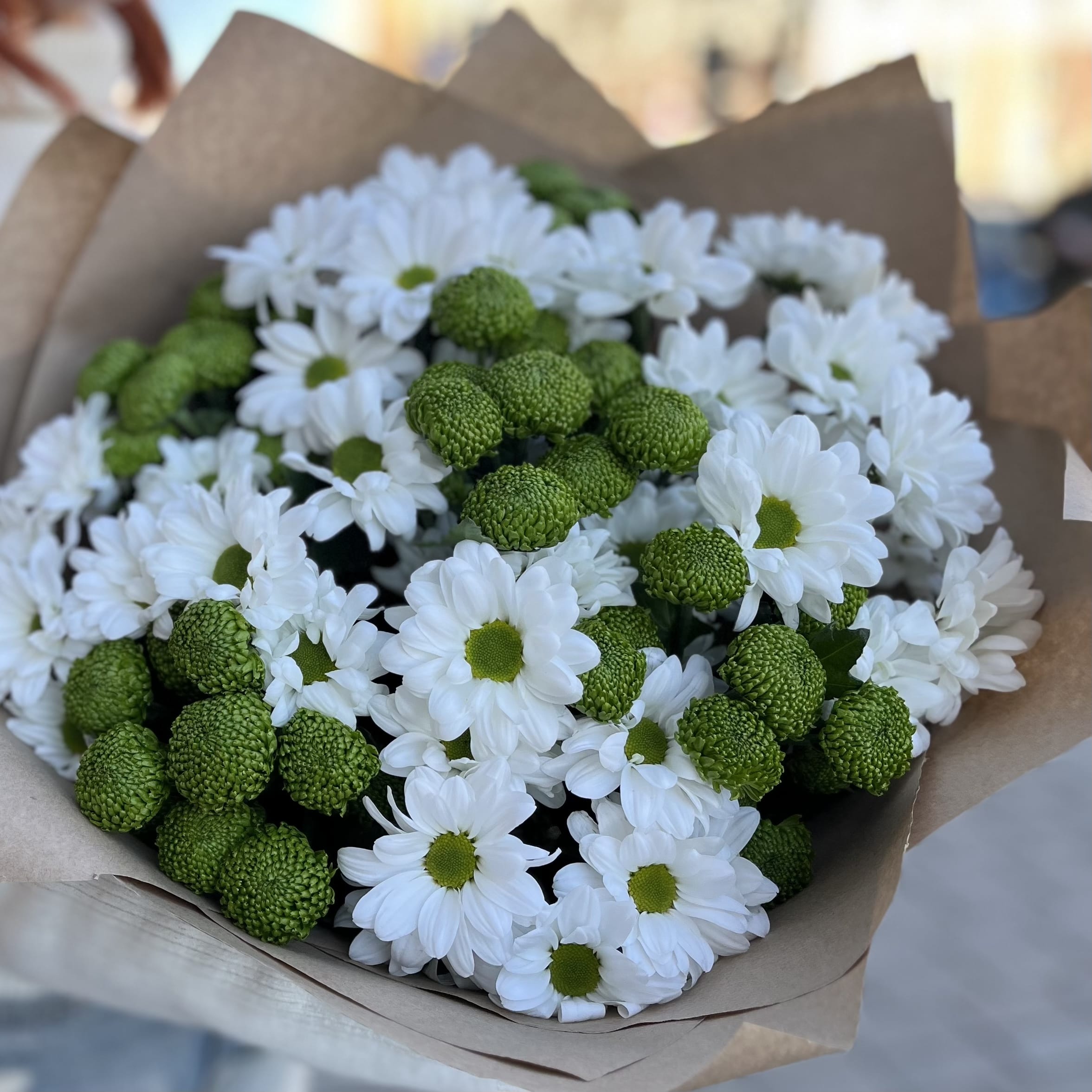 Букет из хризантем "Скарлетт" (11 шт)