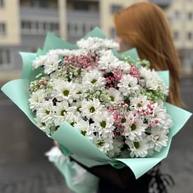 Букет из хризантем "Беззаботная юность" (7 шт)