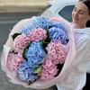Букет Гортензий "Чистая лазурь"