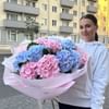 Букет Гортензий "Чистая лазурь"