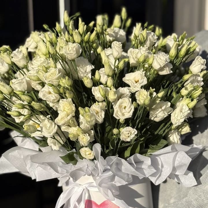 Коробка с белой эустомой 25 шт.