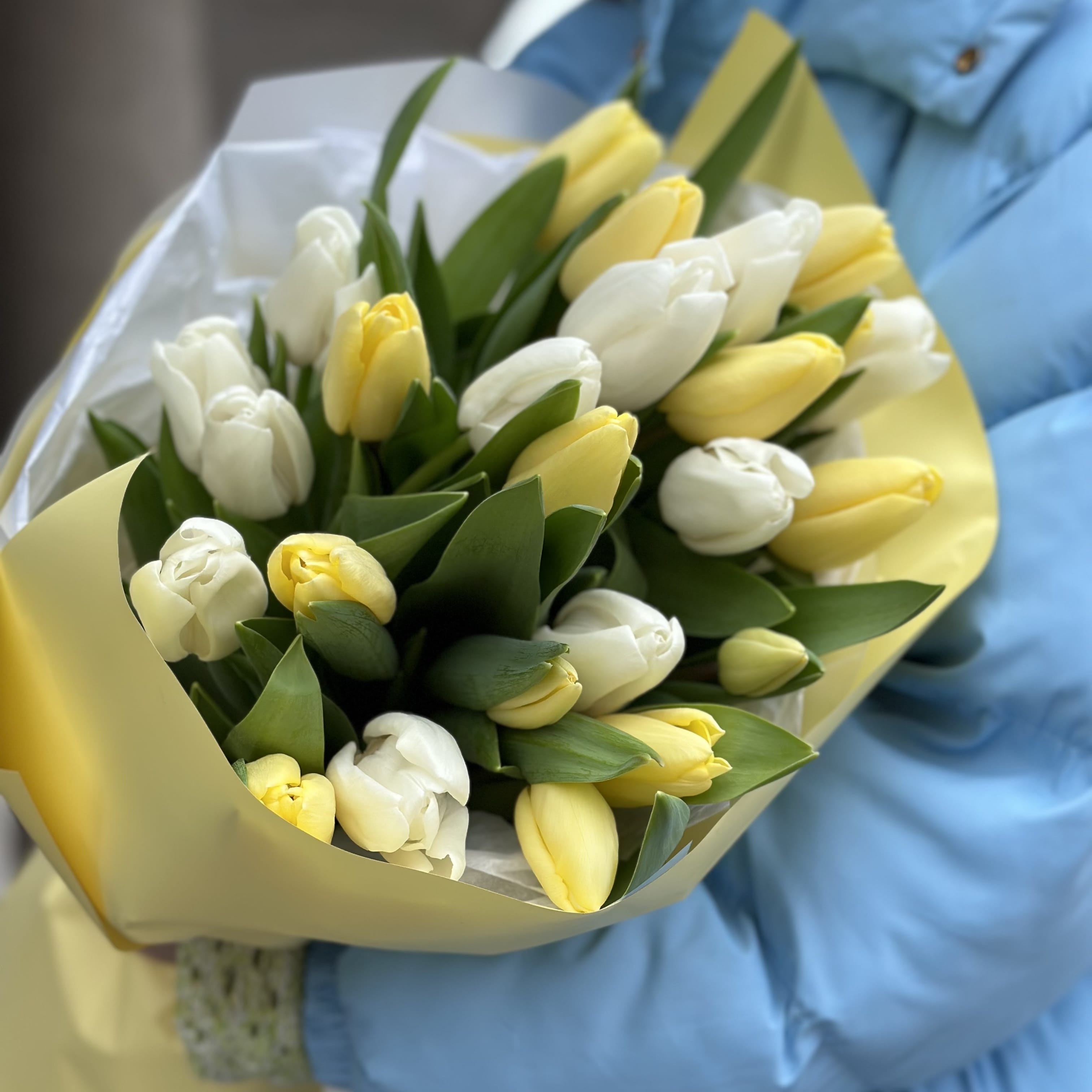Букет тюльпанов "Салют" 25 шт.