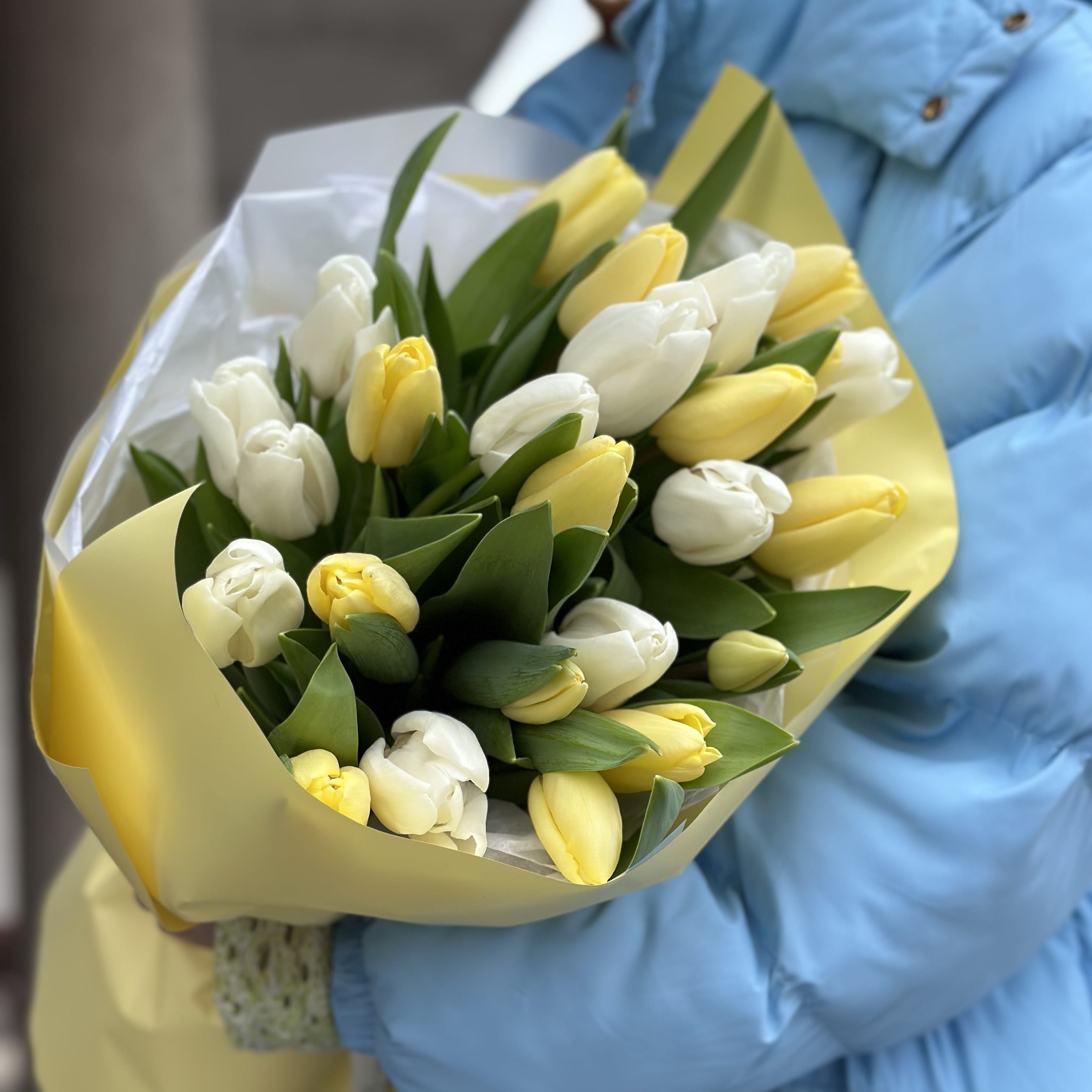 Букет тюльпанов "Салют" 25 шт.
