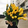 Букет тюльпанов "Весна" 41 шт.