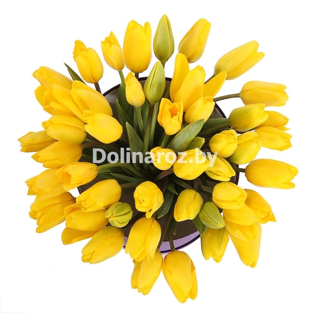 Тюльпаны в коробке "Лунный" 51 шт.