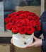 Цветы в коробке "Красная" 27 роз