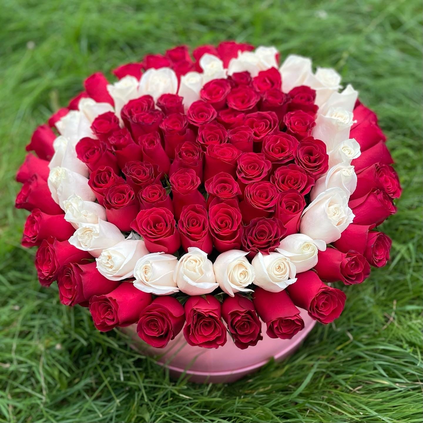 Цветы в коробке с красным сердцем 101 роза