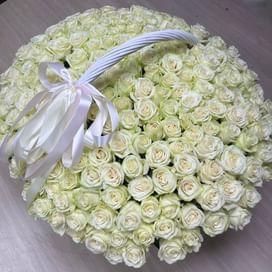 Корзина из белых роз 201 роза