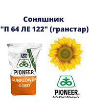 "П64ЛЕ122" Pioner (під Гранстар)