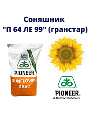 "П64ЛЕ99" Pioner (під Гранстар)
