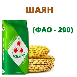 ШАЯН Маїс Дніпро (ФАО - 290)