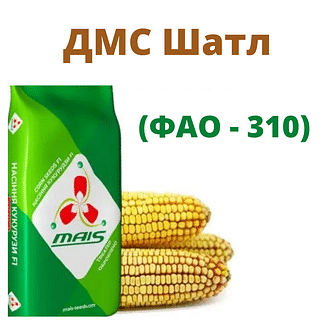 ДМС Шатл Маїс Дніпро (ФАО - 310)