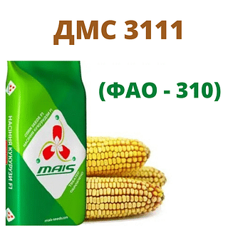 ДМС 3111 Маїс Дніпро (ФАО - 310)