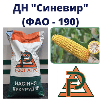 Кукурудза "ДН Синевир" Рост-Агро (ФАО-190)
