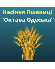 Пшениця "Октава Одеська" Агро Ритм (1 репродукція)