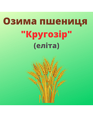 Пшениця "Кругозір" Рост-Агро (Еліта)