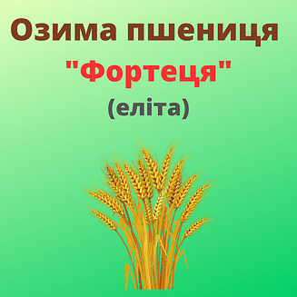 Пшениця "Фортеця" Рост-Агро (Еліта)