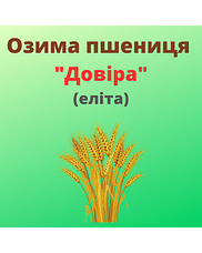 Пшениця "Довіра" Рост-Агро (Еліта)
