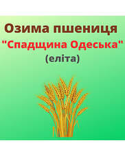 Пшениця "Спадщина Одеська" Рост-Агро (Еліта)