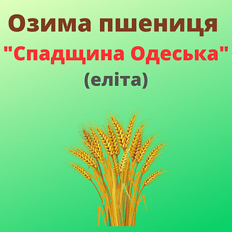 Пшениця "Спадщина Одеська" Рост-Агро (Еліта)