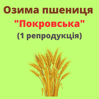 Пшениця "Покровська" Рост-Агро (1 репродукція)