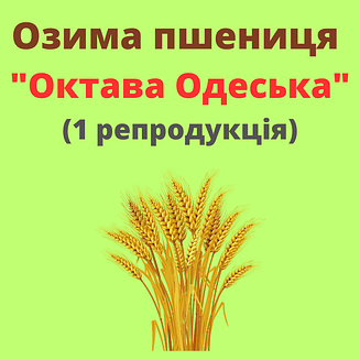 Пшениця "Октава Одеська" Рост-Агро (1 репродукція)