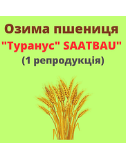 Пшениця "Туранус" Saatbau (1 репродукція)