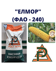 Кукурудза "ДН Елмор" Рост-Агро (ФАО-240)