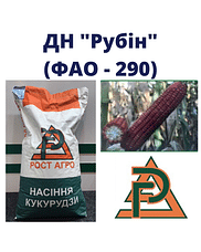 Кукурудза "ДН Рубін" Рост-Агро (ФАО-290)