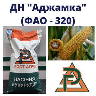 Кукурудза "ДН Аджамка" Рост-Агро (ФАО-320)