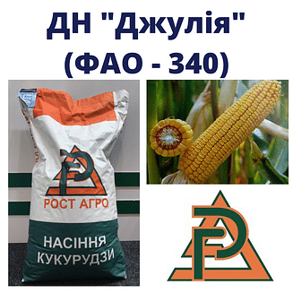 Кукурудза "ДН Джулія" Рост-Агро (ФАО-340)